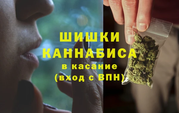 крисы Аркадак