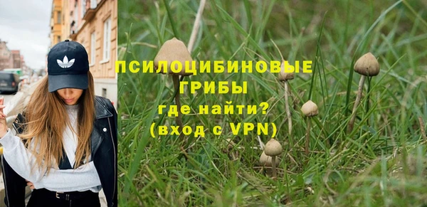 МДПВ Новокубанск
