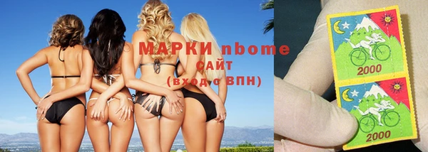 крисы Аркадак